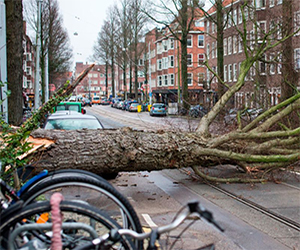 オランダ北部、暴風雨のためコード・レッドの気象警報を発令。スキポール空港では300便以上のフライトをキャンセル、北部で全列車を運休。