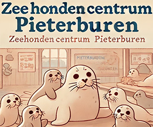 オランダの人気のアザラシ幼稚園。アムステルダムからZeehondencentrum Pieterburenへの行き方：自然と触れ合う旅のガイド。