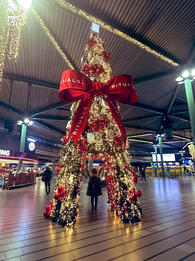 Image for the Tweet beginning: 早朝のアムスに無事到着しました。
スキポール空港もすっかりクリスマス仕様になってました。

JP&amp;USと長旅お疲れ様でした！
とりあえず休む。 